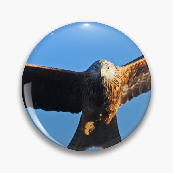 Item preview, Welsh Kite Eye Contact designed and sold by BigCollieG.