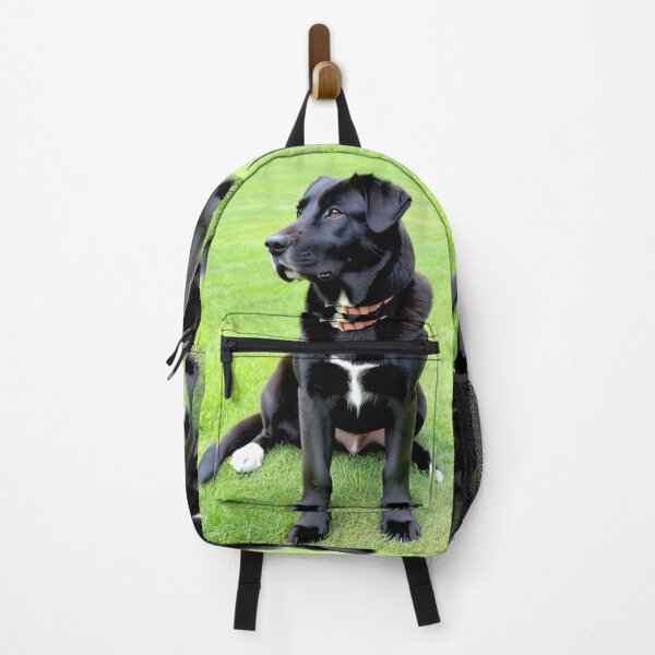 Item preview, Animals - Black Labrador, Majestic Portrait on Vibrant Grass designed and sold by DoodyPets.