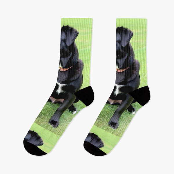 Item preview, Animals - Black Labrador, Majestic Portrait on Vibrant Grass designed and sold by DoodyPets.