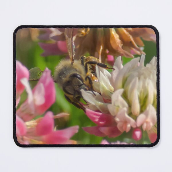 Item preview, Among the Clover — Surrounded designed and sold by Feral Vibes.