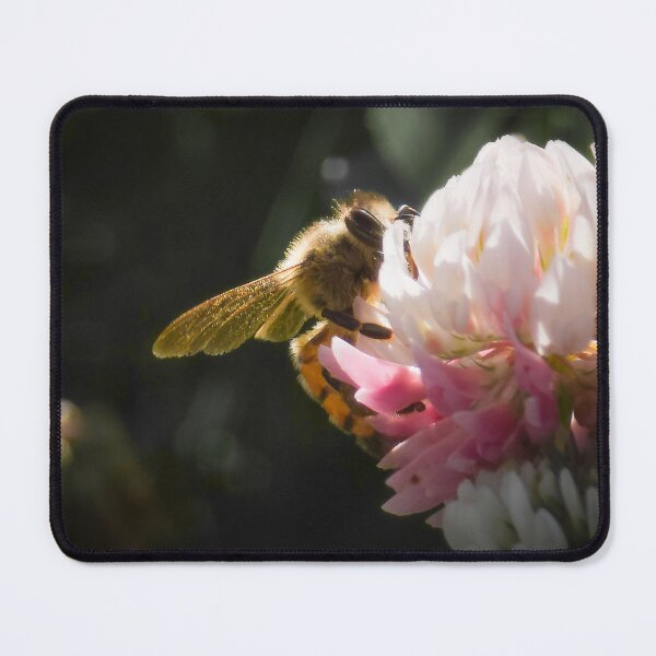 Item preview, Among the Clover — Into the Light designed and sold by Feral Vibes.