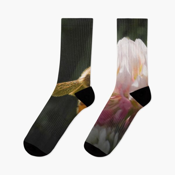 Item preview, Among the Clover — Into the Light designed and sold by Feral Vibes.
