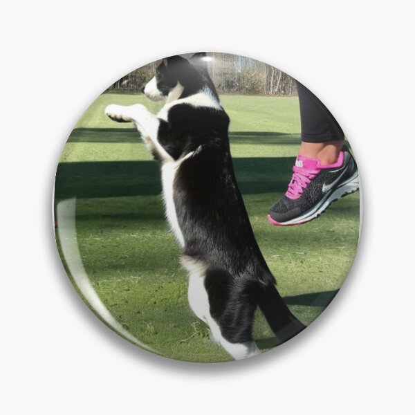 Item preview, Animals - Dog and Owner, Sporty Complicity with Sneakers designed and sold by DoodyPets.