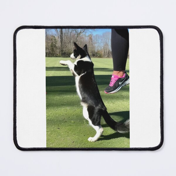 Item preview, Animals - Dog and Owner, Sporty Complicity with Sneakers designed and sold by DoodyPets.