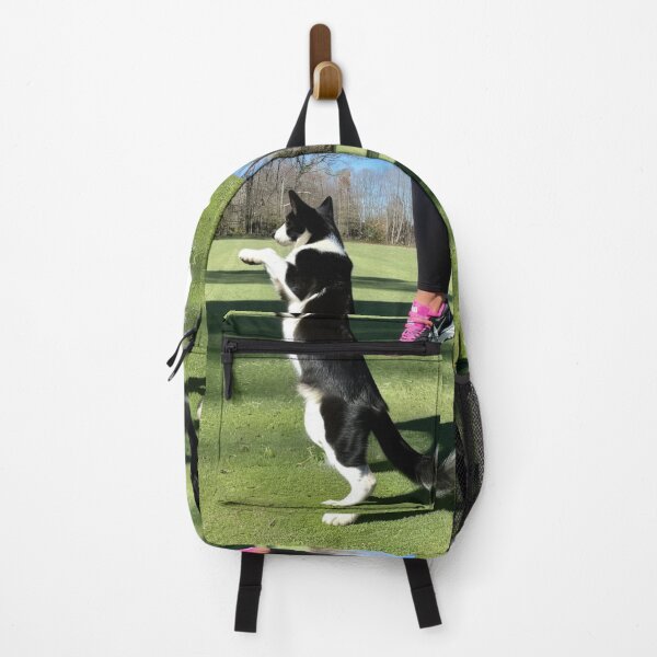 Item preview, Animals - Dog and Owner, Sporty Complicity with Sneakers designed and sold by DoodyPets.