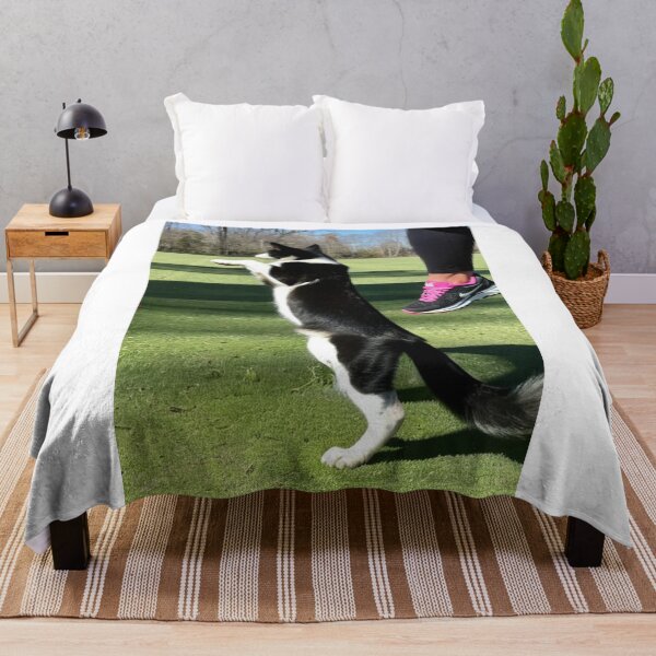 Item preview, Animals - Dog and Owner, Sporty Complicity with Sneakers designed and sold by DoodyPets.