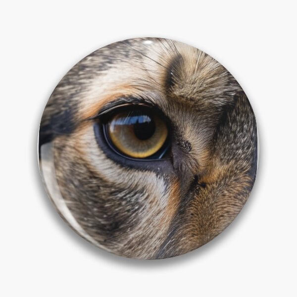 Artikelvorschau, Animals - Domestic Feline Eye, Hypnotic Amber Gaze in Macro entworfen und verkauft von DoodyPets.