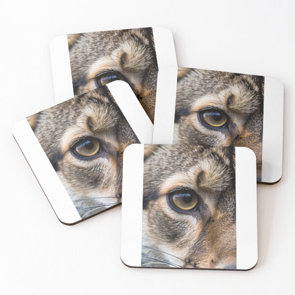 Item preview, Animals - Domestic Feline Eye, Hypnotic Amber Gaze in Macro designed and sold by DoodyPets.