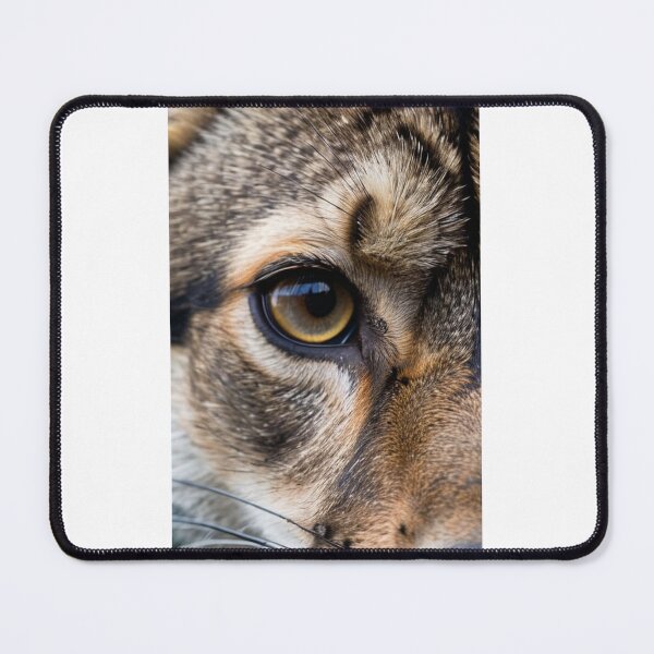 Item preview, Animals - Domestic Feline Eye, Hypnotic Amber Gaze in Macro designed and sold by DoodyPets.