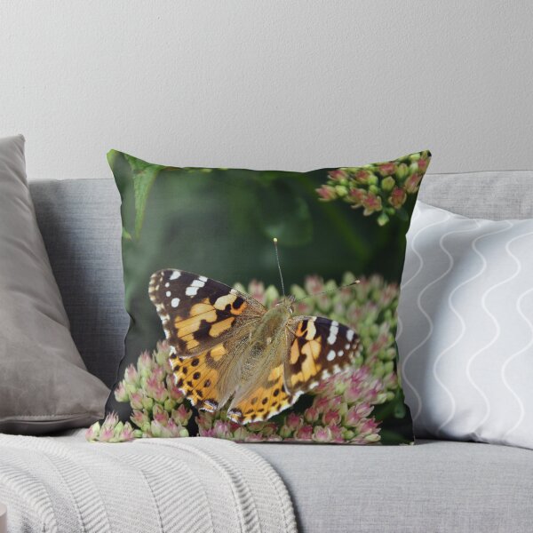 Item preview, Painted Lady  designed and sold by Chris Monks.