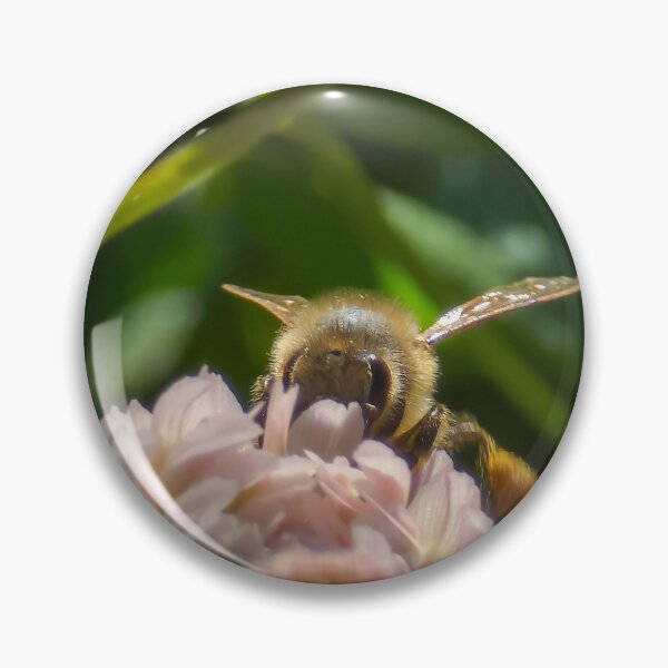 Item preview, Among the Clover — Ground Level designed and sold by Feral Vibes.