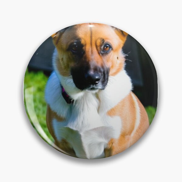 Item preview, Animals - Elegant Breed Dog, Alert Portrait designed and sold by DoodyPets.