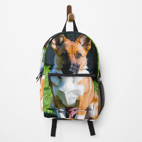 Item preview, Animals - Elegant Breed Dog, Alert Portrait designed and sold by DoodyPets.