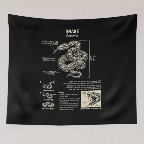 Item preview, Snake Scientific Anatomy Biology Animal Lover designed and sold by Kimberley King Art  King Art.