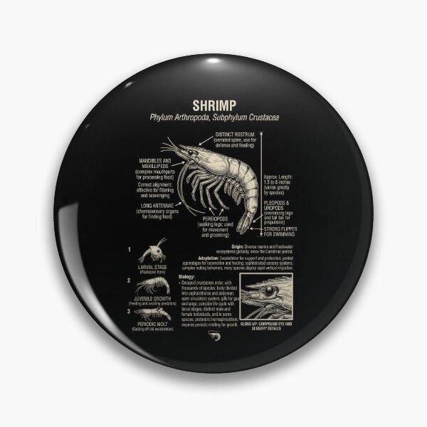 Item preview, Shrimp Scientific Anatomy Biology Animal Lover designed and sold by Kimberley King Art  King Art.