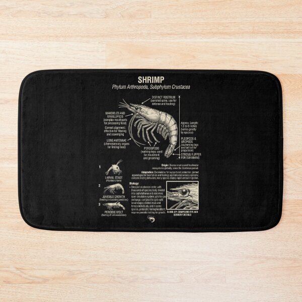 Item preview, Shrimp Scientific Anatomy Biology Animal Lover designed and sold by Kimberley King Art  King Art.