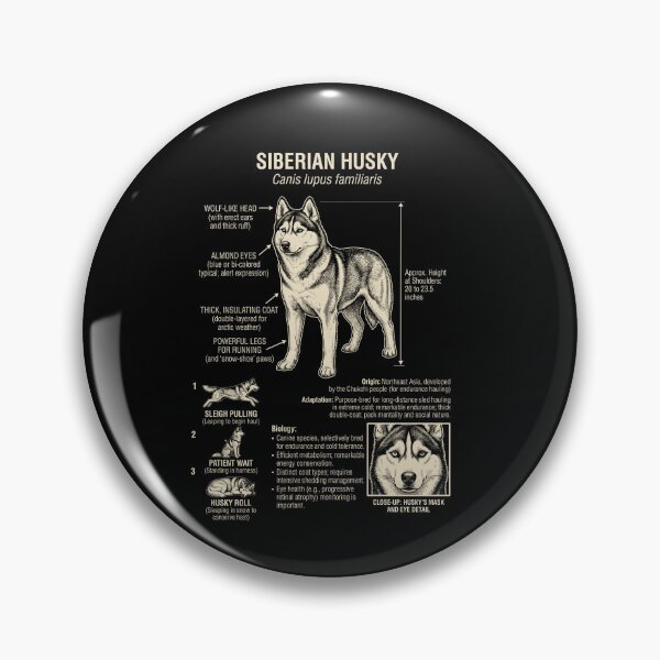 Item preview, Siberian Husky Scientific Anatomy Biology Dog Lover designed and sold by Kimberley King Art  King Art.
