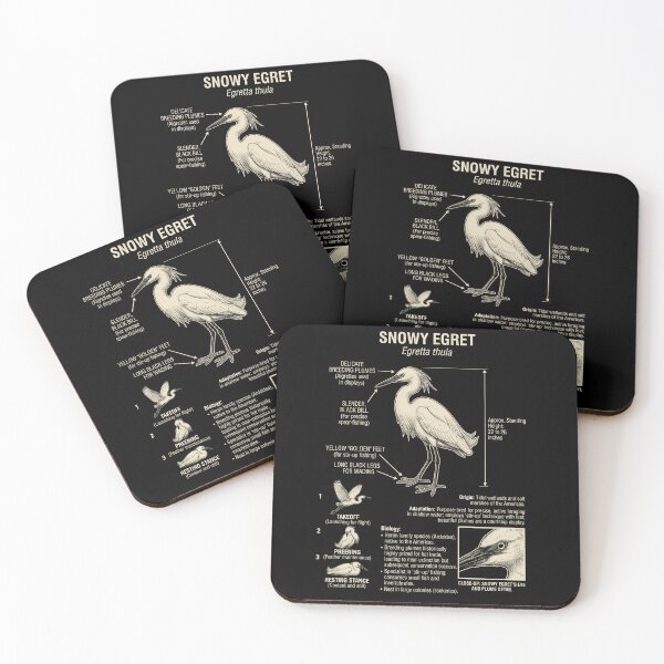 Item preview, Snowy Egret Scientific Anatomy Ornithology Animal Lover designed and sold by Kimberley King Art  King Art.