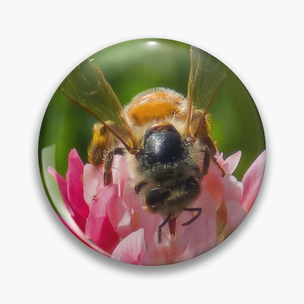 Item preview, Among the Clover — Face First designed and sold by Feral Vibes.