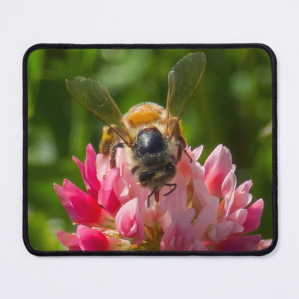 Item preview, Among the Clover — Face First designed and sold by Feral Vibes.