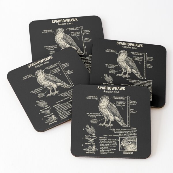 Item preview, Sparrowhawk Scientific Anatomy Ornithology Animal Lover designed and sold by Kimberley King Art  King Art.
