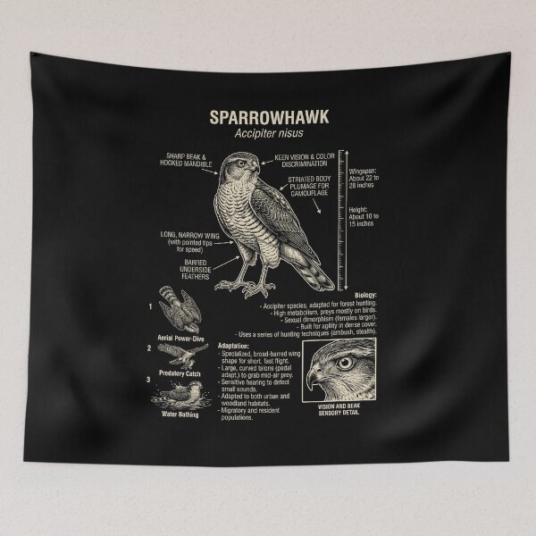 Item preview, Sparrowhawk Scientific Anatomy Ornithology Animal Lover designed and sold by Kimberley King Art  King Art.