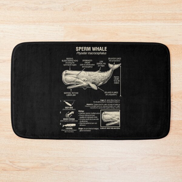 Item preview, Sperm Whale Scientific Anatomy Biology Animal Lover designed and sold by Kimberley King Art  King Art.