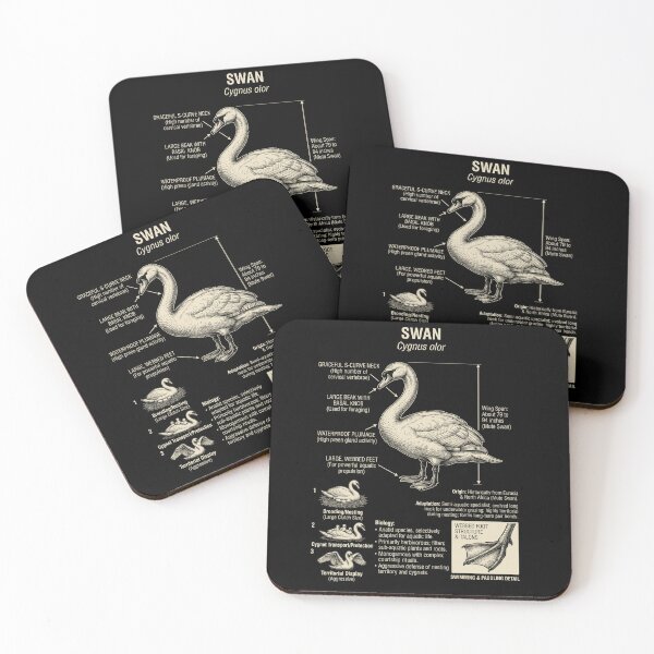 Item preview, Swan Scientific Anatomy Ornithology Animal Lover designed and sold by Kimberley King Art  King Art.