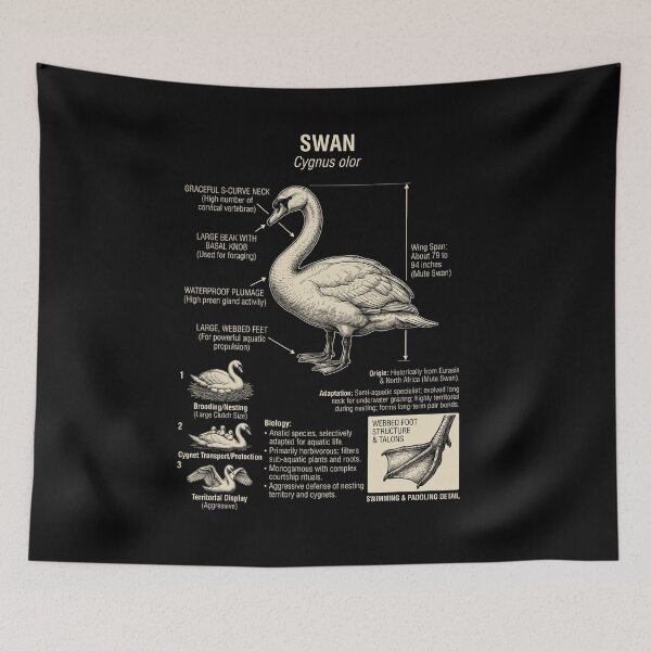 Item preview, Swan Scientific Anatomy Ornithology Animal Lover designed and sold by Kimberley King Art  King Art.