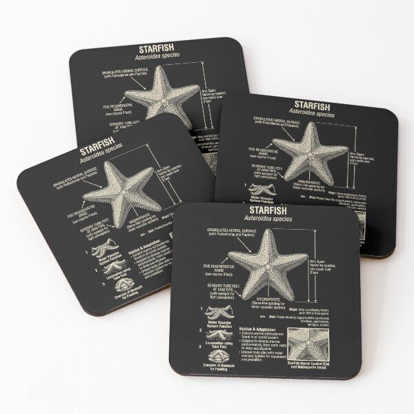 Item preview, Starfish Scientific Anatomy Biology Animal Lover designed and sold by Kimberley King Art  King Art.