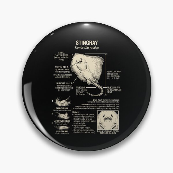Item preview, Stingray Scientific Anatomy Biology Animal Lover designed and sold by Kimberley King Art  King Art.