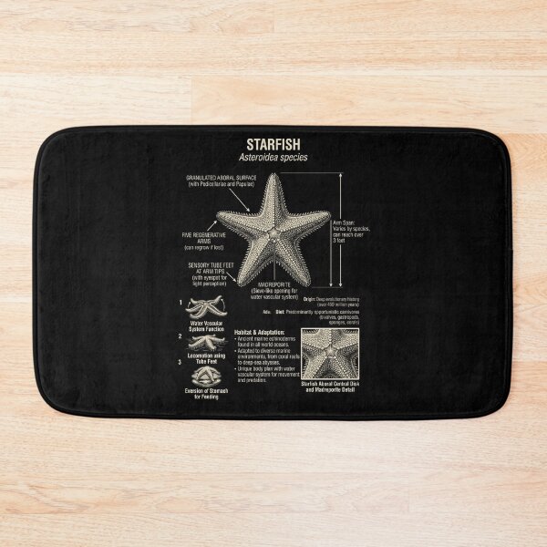Item preview, Starfish Scientific Anatomy Biology Animal Lover designed and sold by Kimberley King Art  King Art.