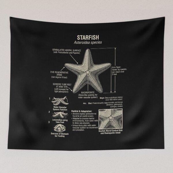 Item preview, Starfish Scientific Anatomy Biology Animal Lover designed and sold by Kimberley King Art  King Art.