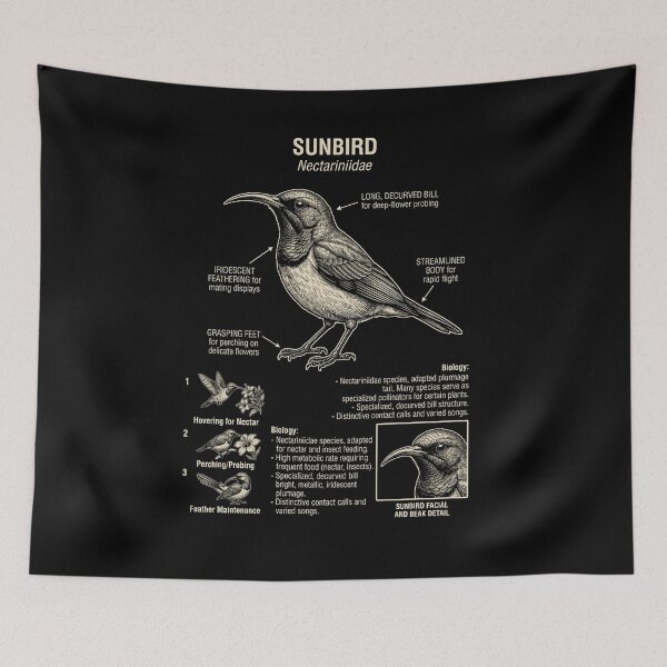 Item preview, Sunbird Scientific Anatomy Ornithology Animal Lover designed and sold by Kimberley King Art  King Art.