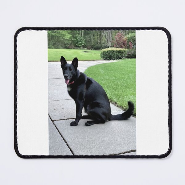 Item preview, Animals - Large Dog, Elegant Residential Portrait designed and sold by DoodyPets.