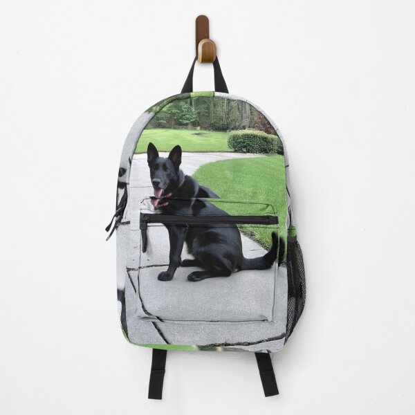 Item preview, Animals - Large Dog, Elegant Residential Portrait designed and sold by DoodyPets.