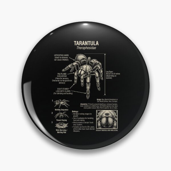 Item preview, Tarantula Scientific Anatomy Biology Animal Lover designed and sold by Kimberley King Art  King Art.