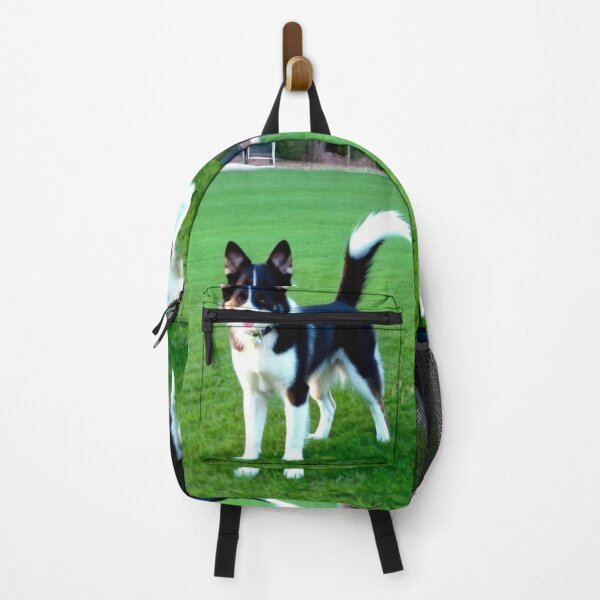 Item preview, Animals - Mixed Breed Dog, Playful on Green Grass designed and sold by DoodyPets.