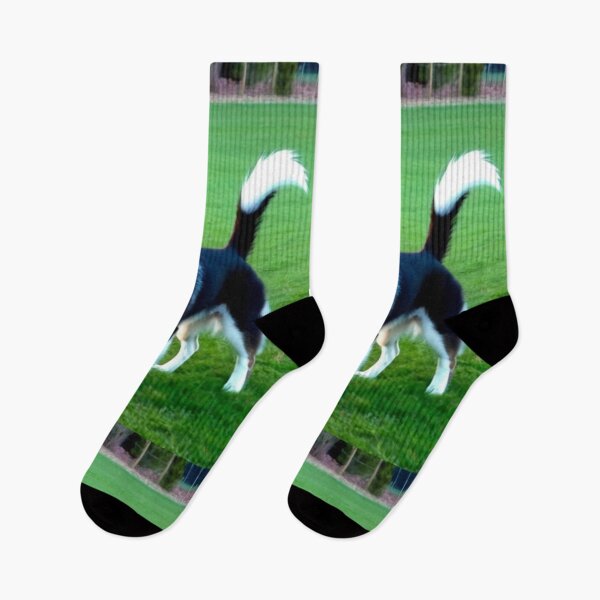 Item preview, Animals - Mixed Breed Dog, Playful on Green Grass designed and sold by DoodyPets.