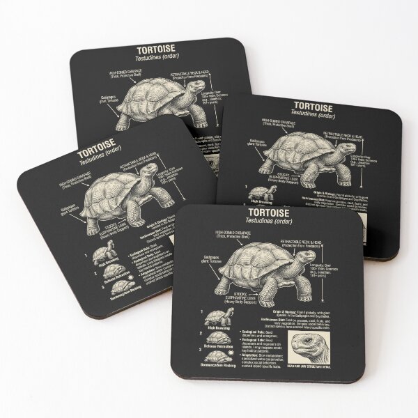 Item preview, Tortoise Scientific Anatomy Biology Animal Lover designed and sold by Kimberley King Art  King Art.