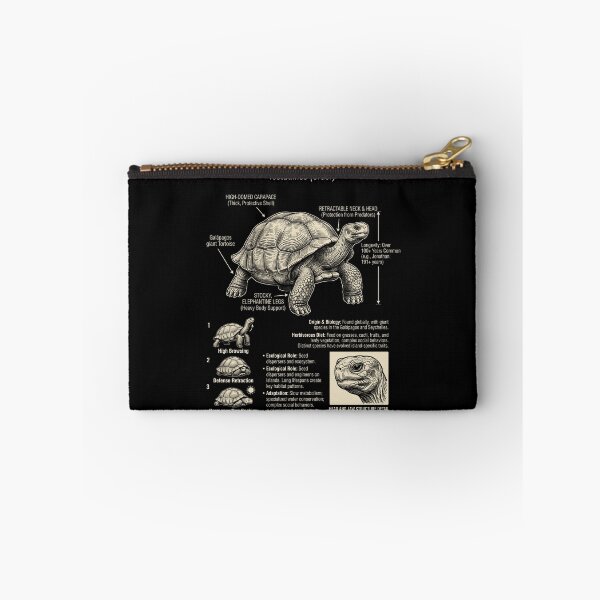 Item preview, Tortoise Scientific Anatomy Biology Animal Lover designed and sold by Kimberley King Art  King Art.