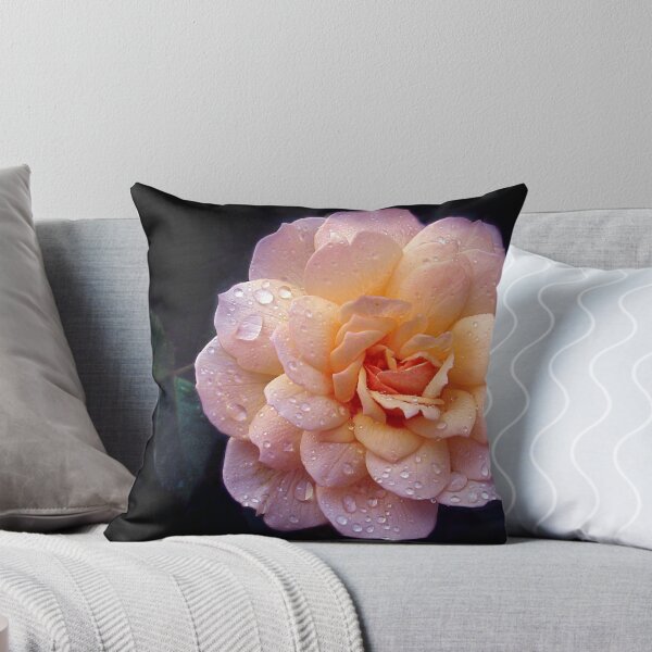 Item preview, Rain Kissed Peach Rose designed and sold by Jessica Jenney.