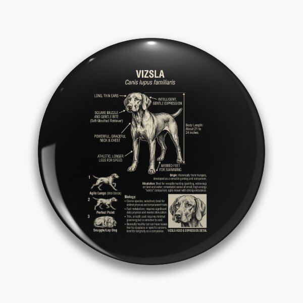 Item preview, Vizsla Scientific Anatomy Biology Dog Lover designed and sold by Kimberley King Art  King Art.