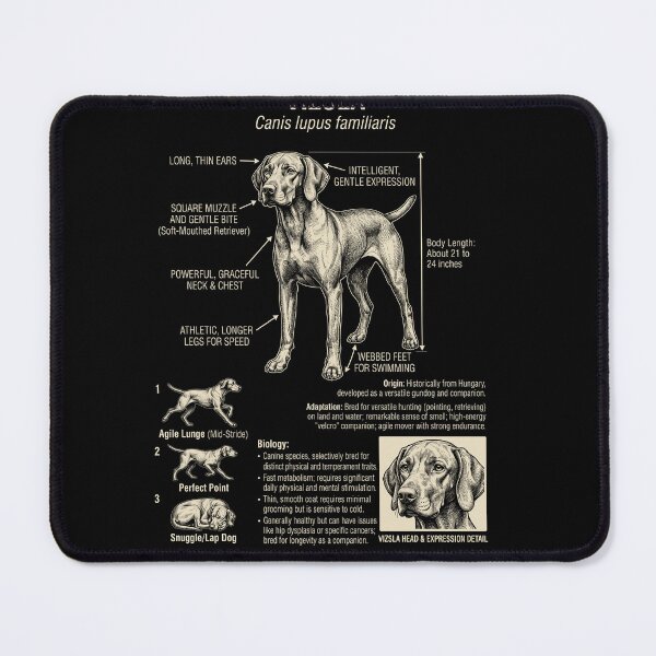 Item preview, Vizsla Scientific Anatomy Biology Dog Lover designed and sold by Kimberley King Art King Art.