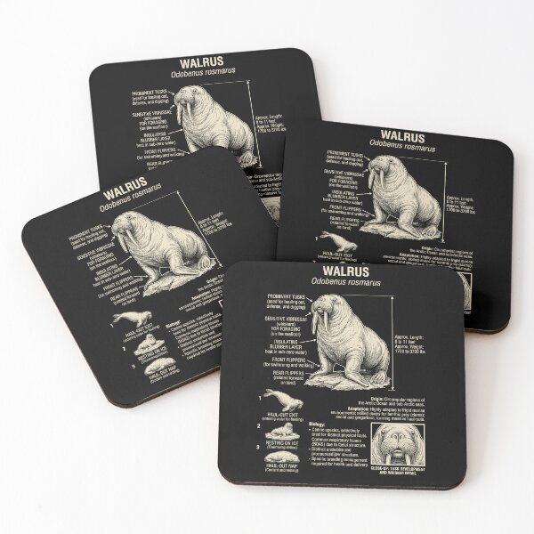 Item preview, Walrus Scientific Anatomy Biology Animal Lover designed and sold by Kimberley King Art  King Art.