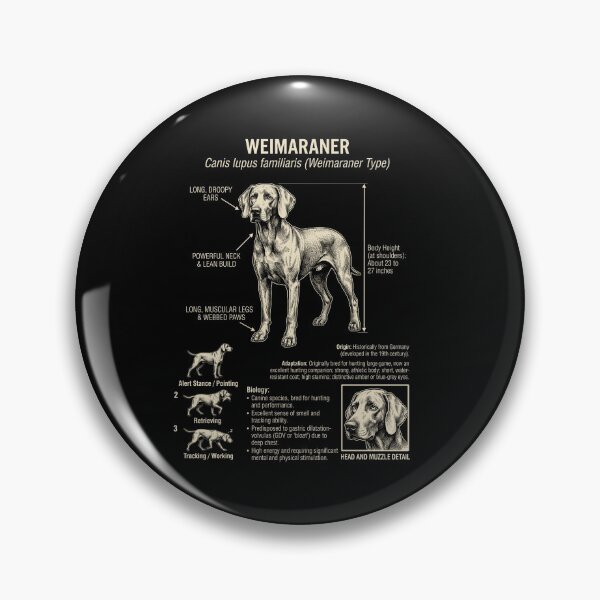 Item preview, Weimaraner Scientific Anatomy Biology Dog Lover designed and sold by Kimberley King Art  King Art.