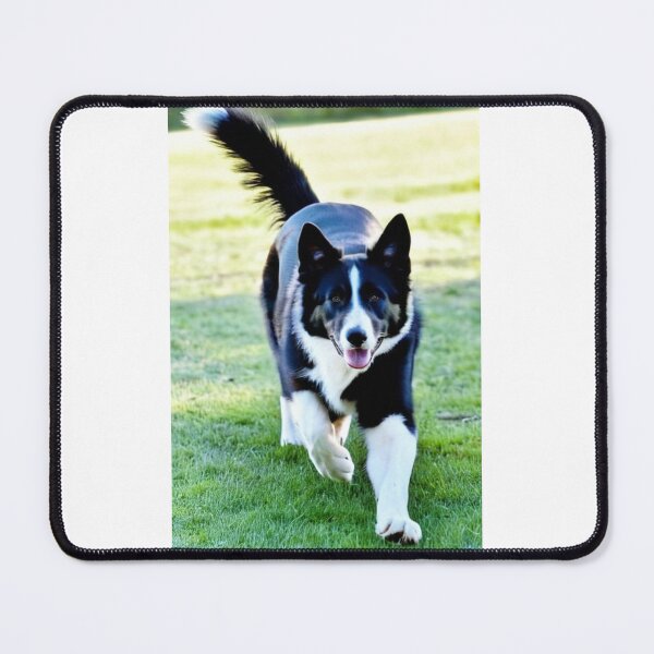 Item preview, Animals - Shepherd Dog, Dynamic Portrait on Green Lawn designed and sold by DoodyPets.