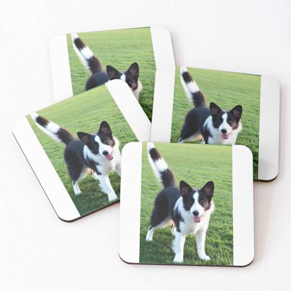 Item preview, Animals - Small Herding Dog, Joyful Bicolor Coated designed and sold by DoodyPets.