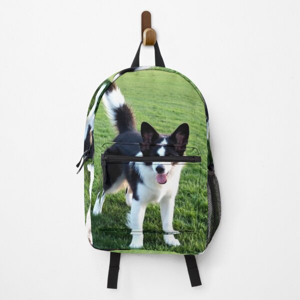 Item preview, Animals - Small Herding Dog, Joyful Bicolor Coated designed and sold by DoodyPets.