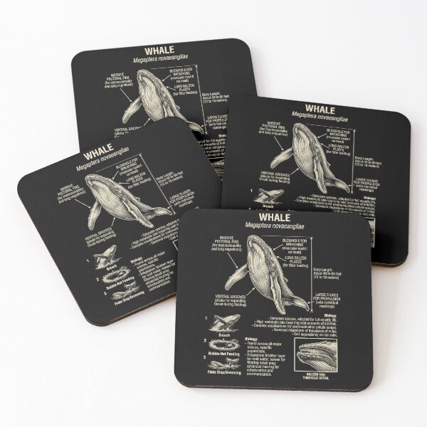 Item preview, Whale Scientific Anatomy Biology Animal Lover designed and sold by Kimberley King Art  King Art.